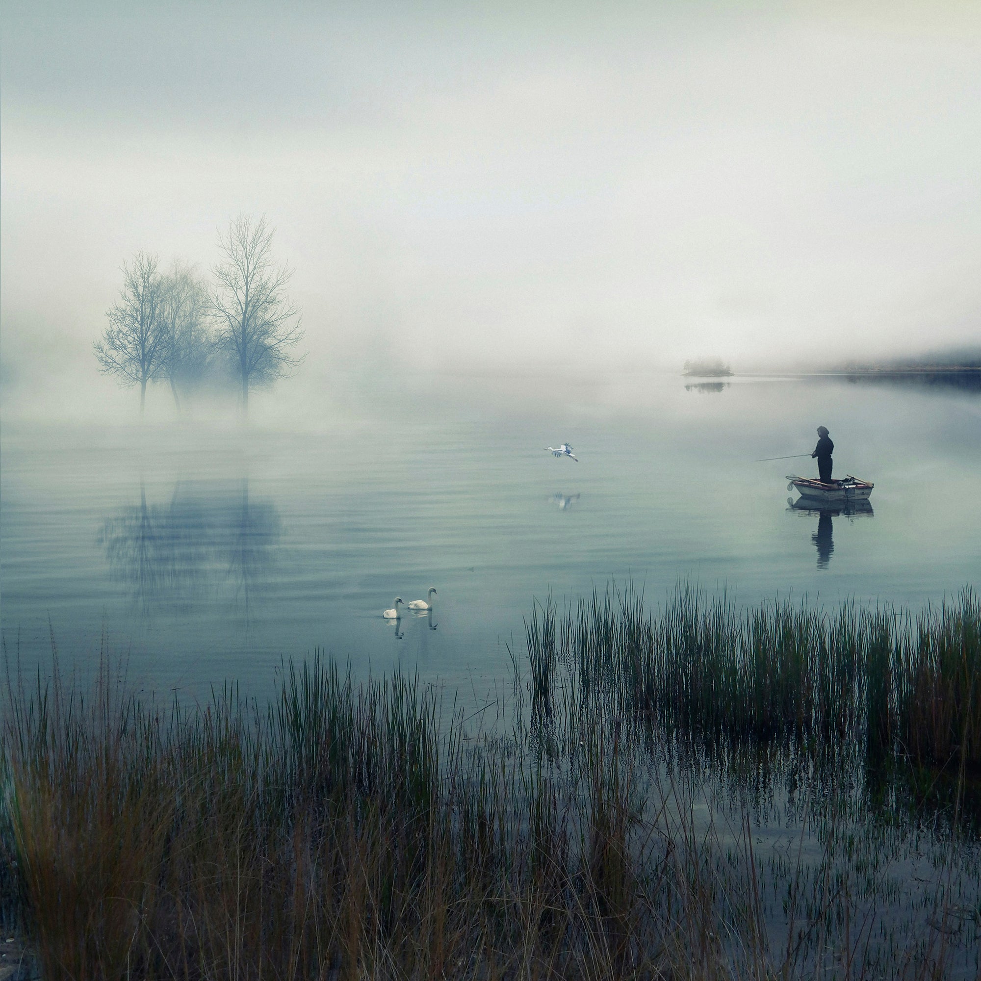 Solitary fisherman in a small boat on a misty Western lake at twilight, with swans and trees reflected in the water