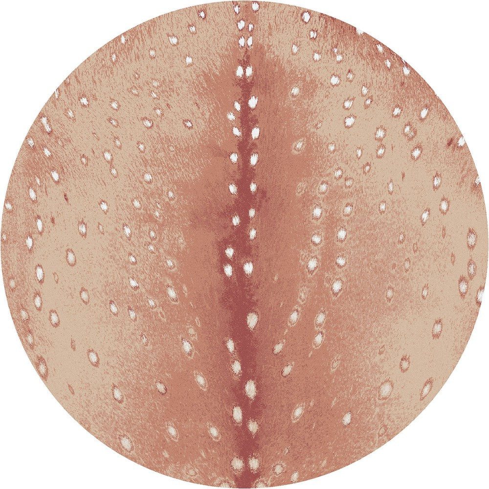 Perfect for any high-traffic area in your home, this rug is crafted from 100% EnduraStran nylon for unrivaled durability. The stain and fade-resistant and commercial grade yarn cleans easily and is designed to withstand heavy traffic. Plus, its synthetic nylon is moisture and UV resistant. Achieve superior quality and long-lasting durability with this rug.