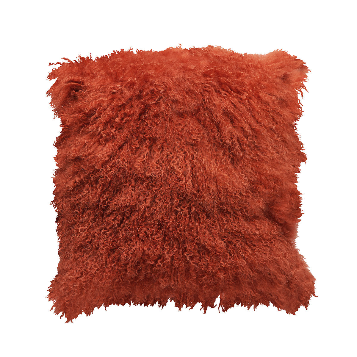 Tibetan Lamb Pillows are perfect for any home. Crafted with incredibly soft and luxurious fur, this pillow provides a one-of-a-kind accent to any room. The elegant texture and design adds a chic and sophisticated touch, and the multiple colors and sizes available make it the perfect finishing touch for any decor.