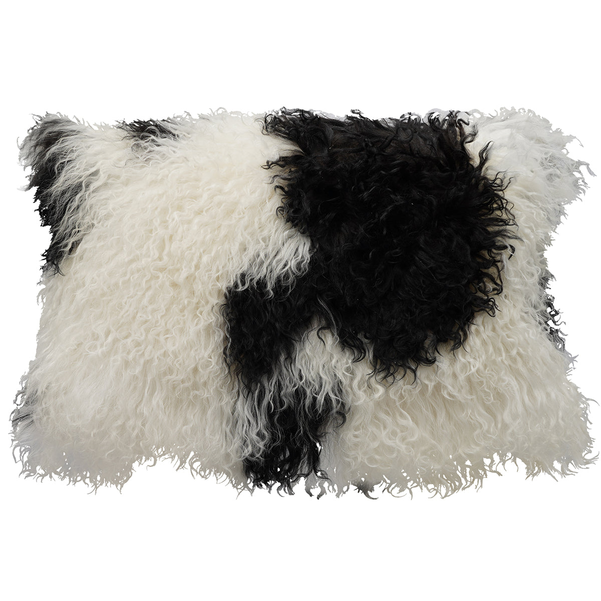 Small Lumbar Tibetan Lamb