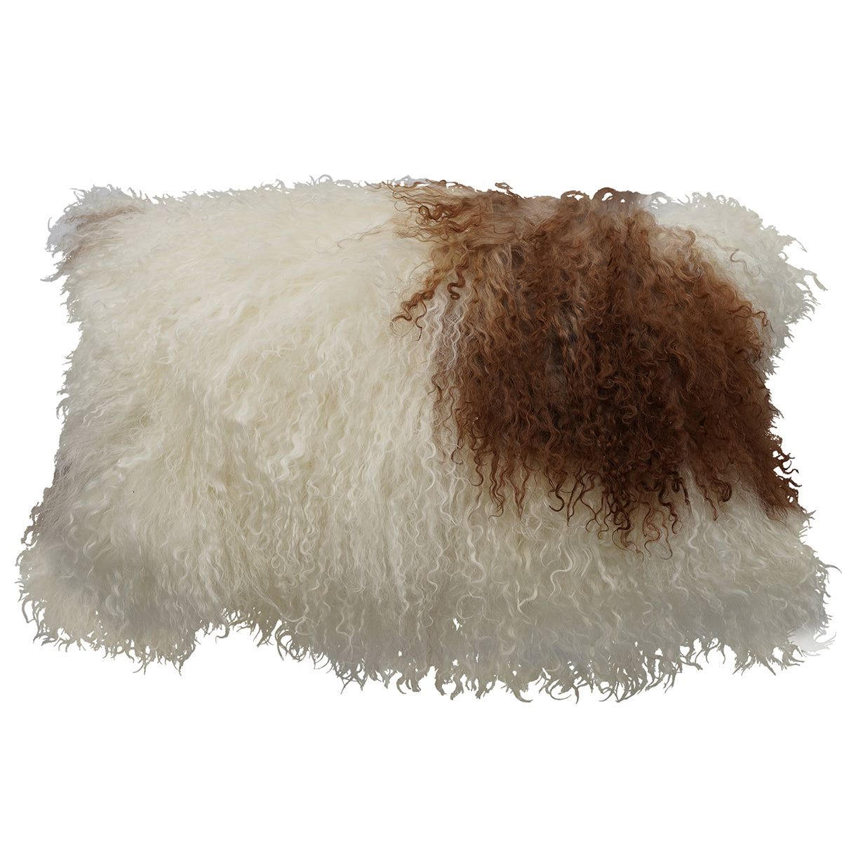 Large Lumbar Tibetan Lamb