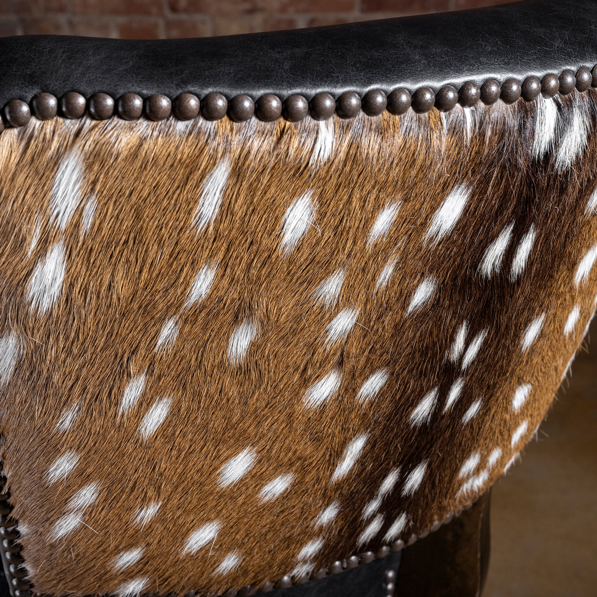 Close-up of axis hide hair-on panel with nailhead trim on back of black leather Western bar stool