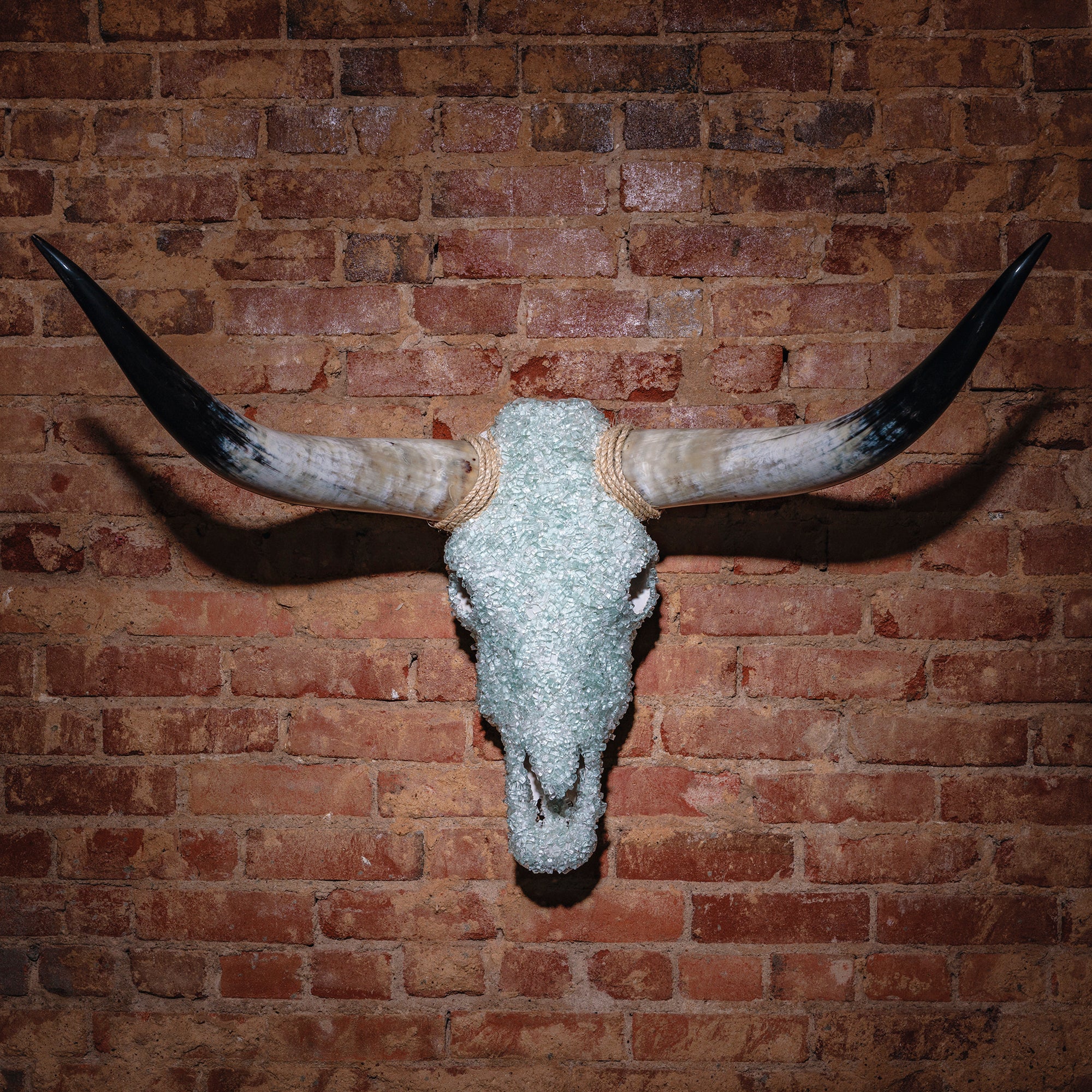 Frosted glass longhorn skull with natural curved horns and rope wrap mounted on brick wall