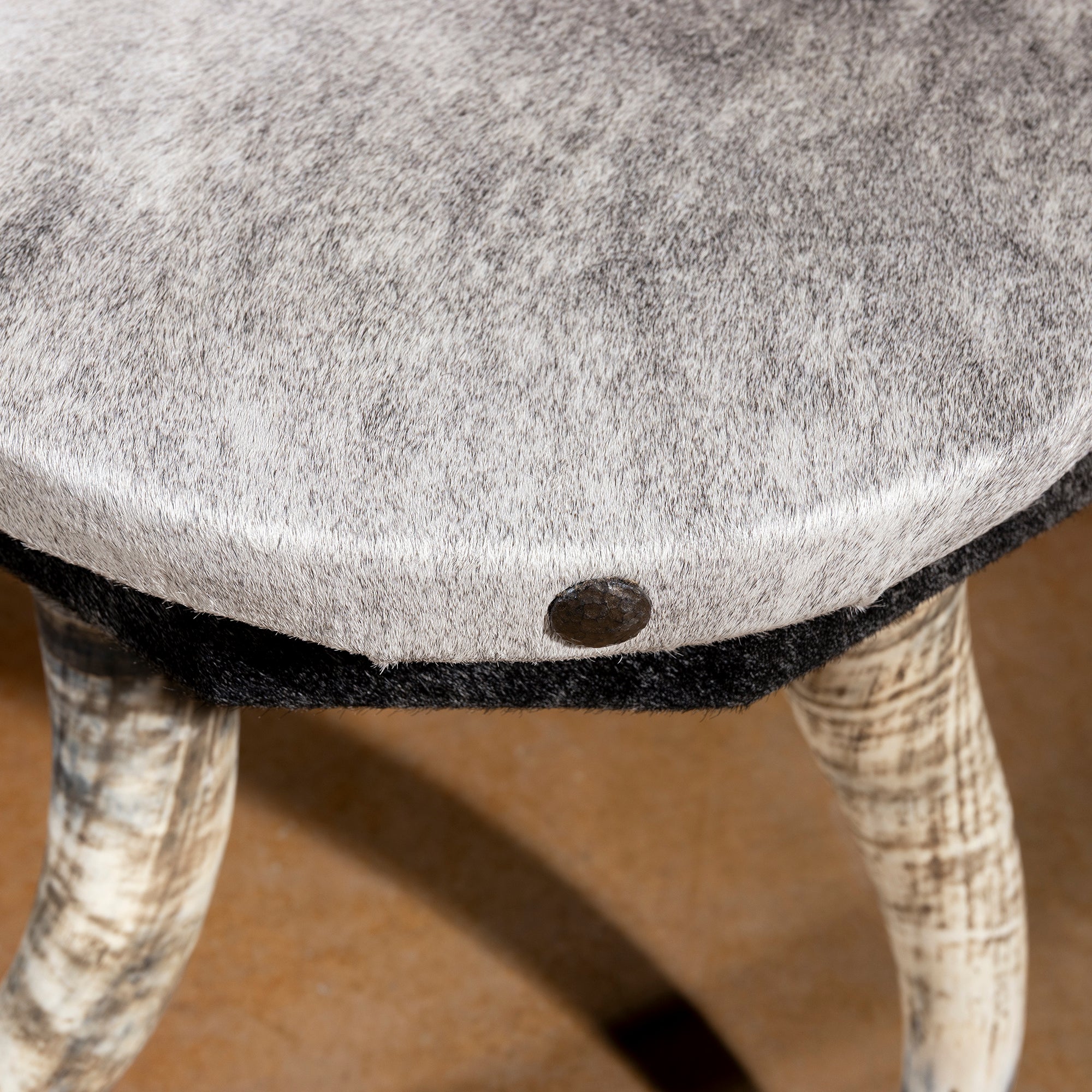 Closeup of salt-and-pepper cowhide top with nailhead trim on Western accent table