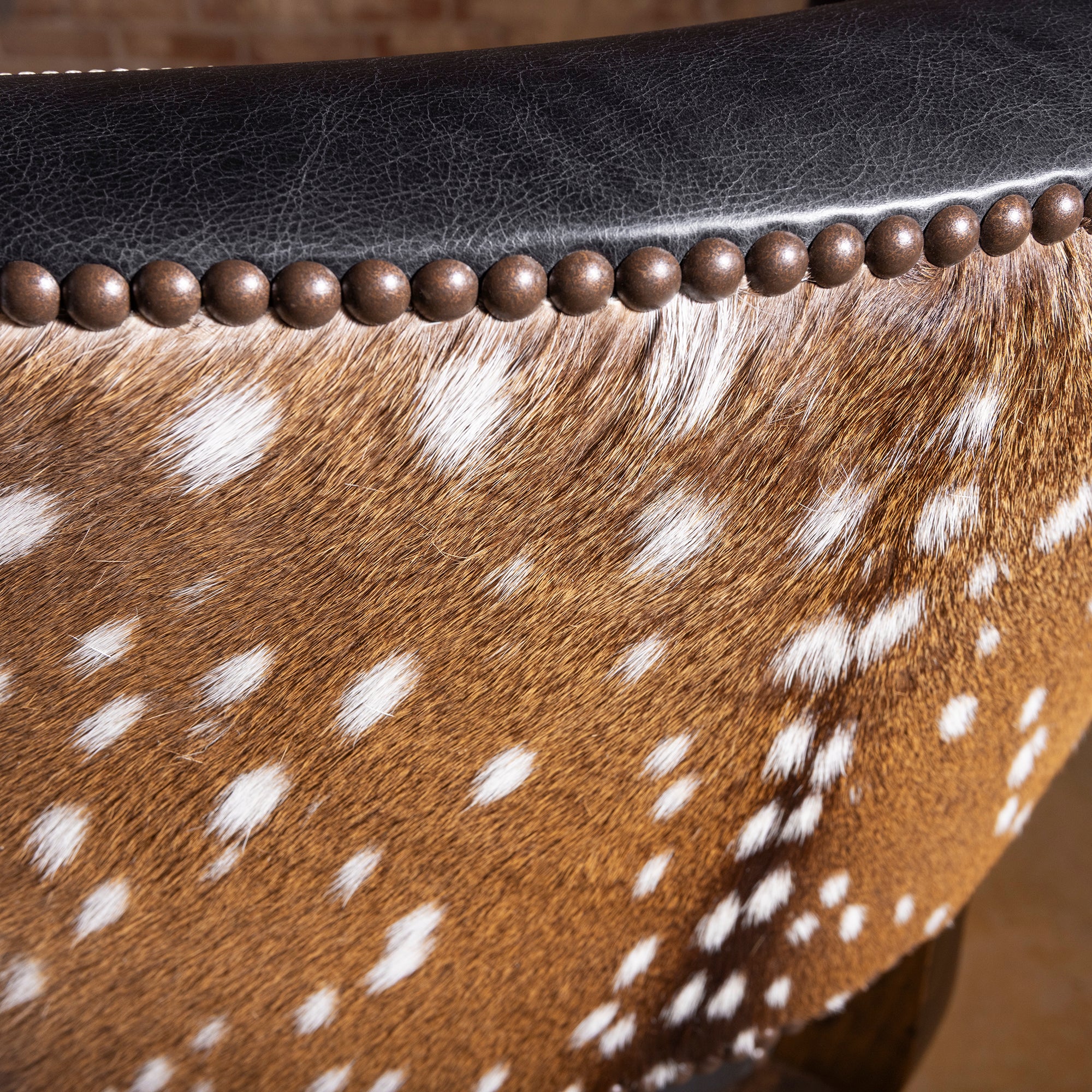 Stallion Grove Bar Stool western axis hide bar stool detail with natural axis hide, bronze nailheads, and black leather trim along the back