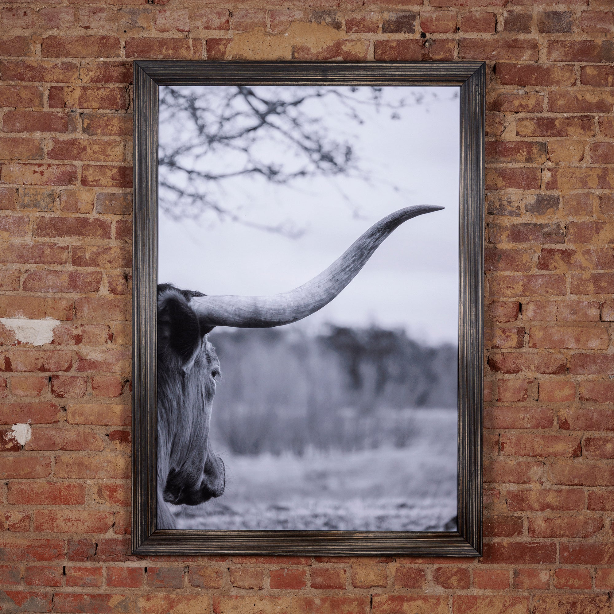 western black and white steer wall art