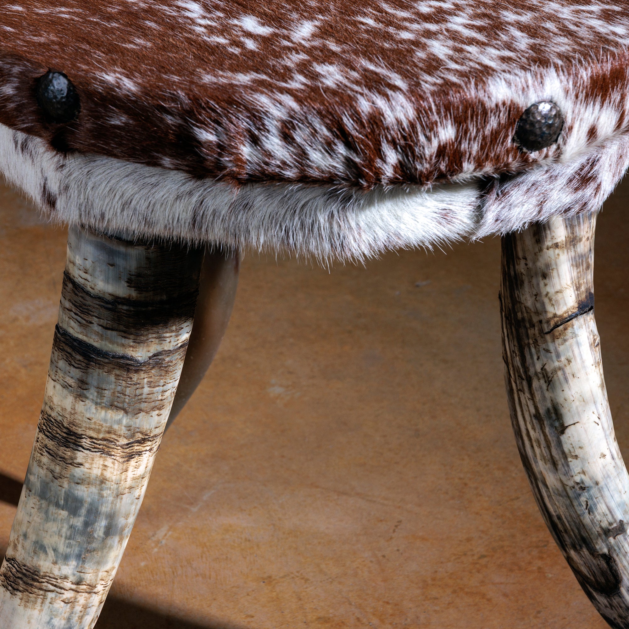 Bull Horn Tripod Side Table