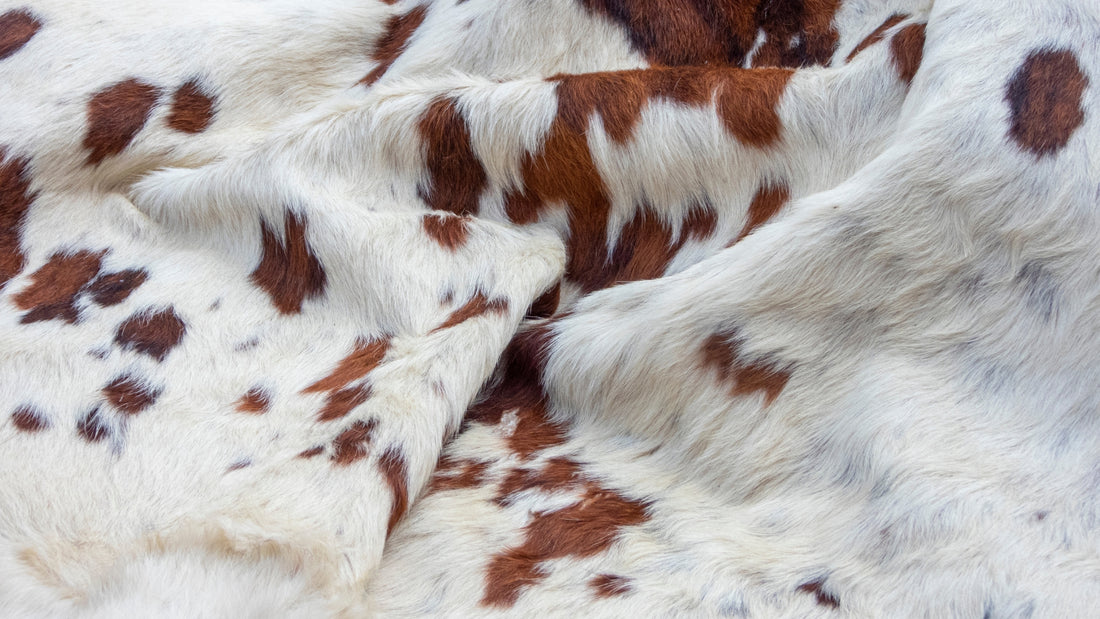 Embrace Your Wild West Style With Cowhide Rugs