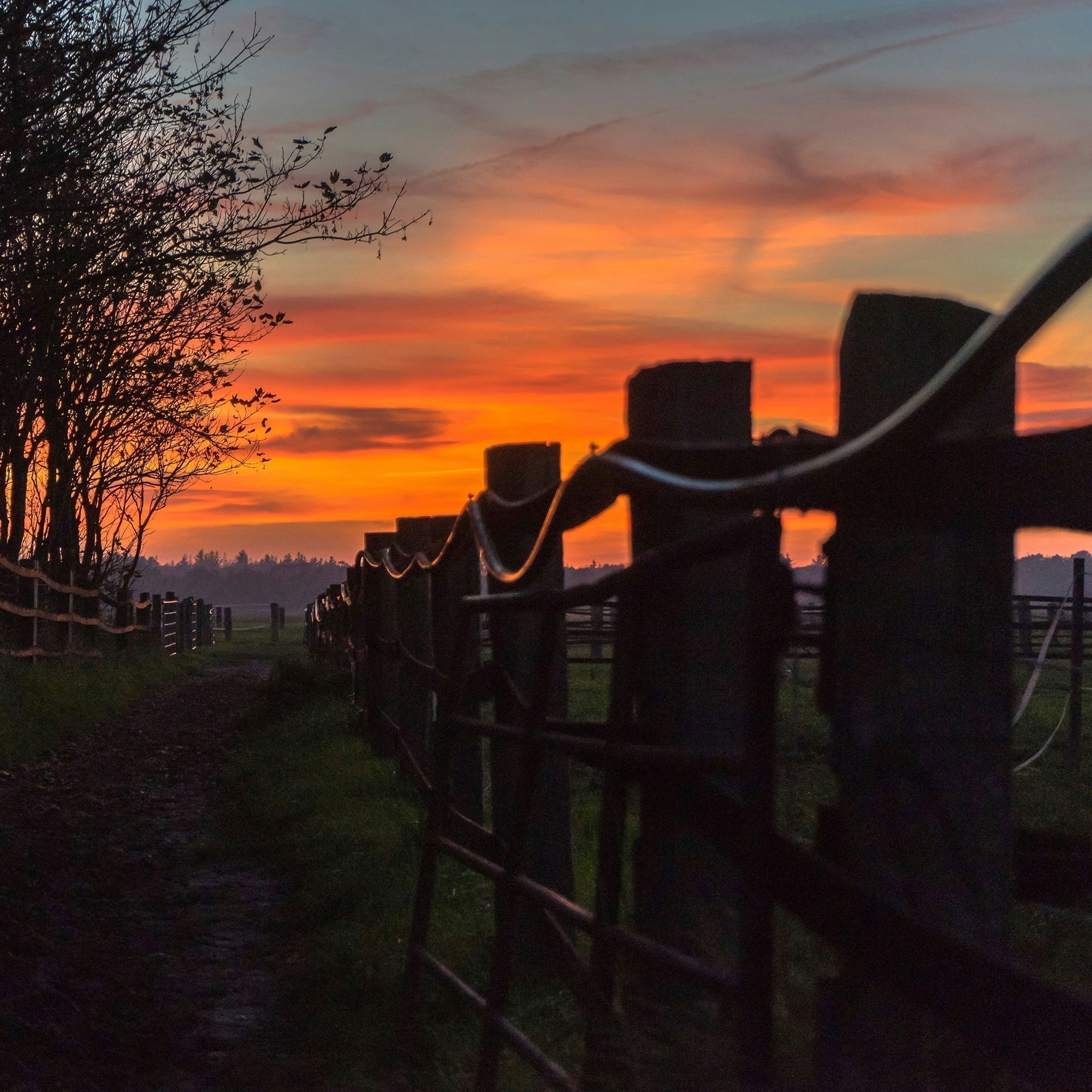 Sunlight falling on a ranch fence
