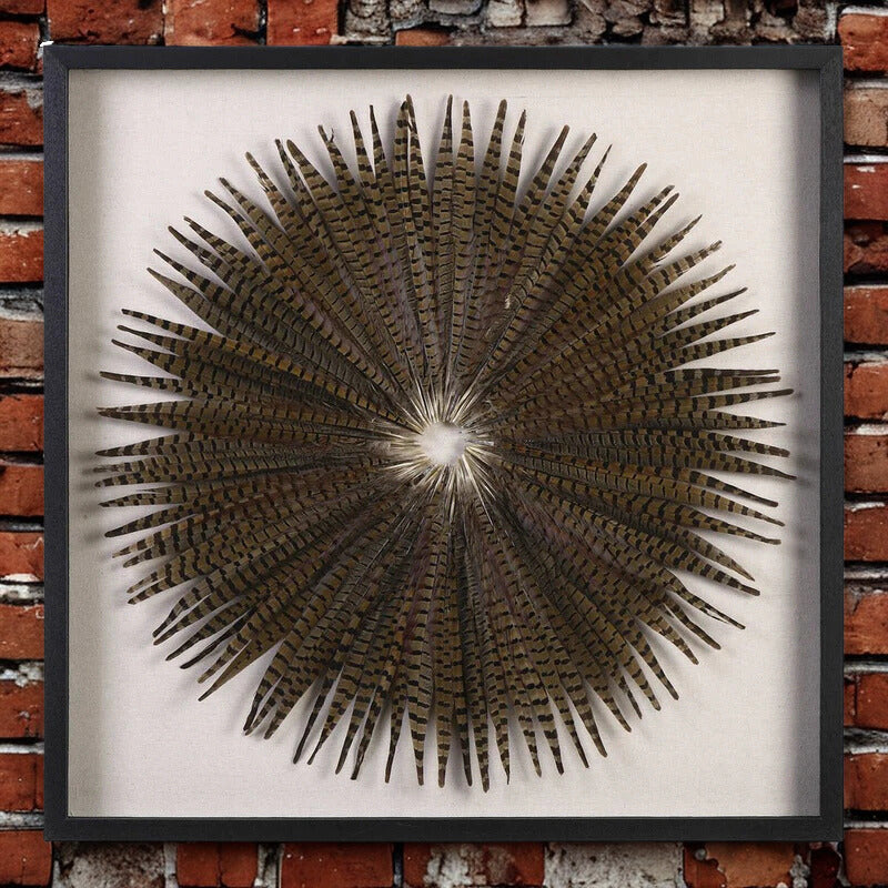 Feather Burst Shadow Box