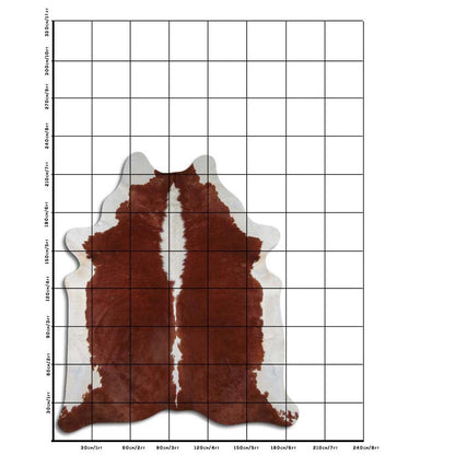 One-of-a-kind Brazilian cowhide rug with rich tones and soft texture