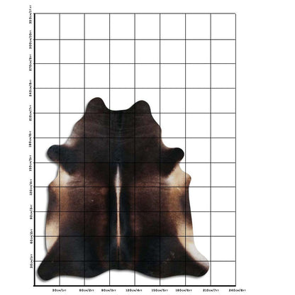 This high-quality cowhide rug is expertly crafted from authentic cowhide sourced from Brazil. With its natural durability and unique pattern, it adds a touch of sophistication and warmth to any room. Experience the luxurious feel of genuine cowhide in your home.

The cowhide in the photo is the one you will receive!
