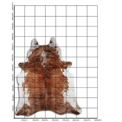 This high-quality cowhide rug is expertly crafted from authentic cowhide sourced from Brazil. With its natural durability and unique pattern, it adds a touch of sophistication and warmth to any room. Experience the luxurious feel of genuine cowhide in your home.

The cowhide in the photo is the one you will receive!