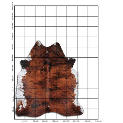 This high-quality cowhide rug is expertly crafted from authentic cowhide sourced from Brazil. With its natural durability and unique pattern, it adds a touch of sophistication and warmth to any room. Experience the luxurious feel of genuine cowhide in your home.

The cowhide in the photo is the one you will receive!