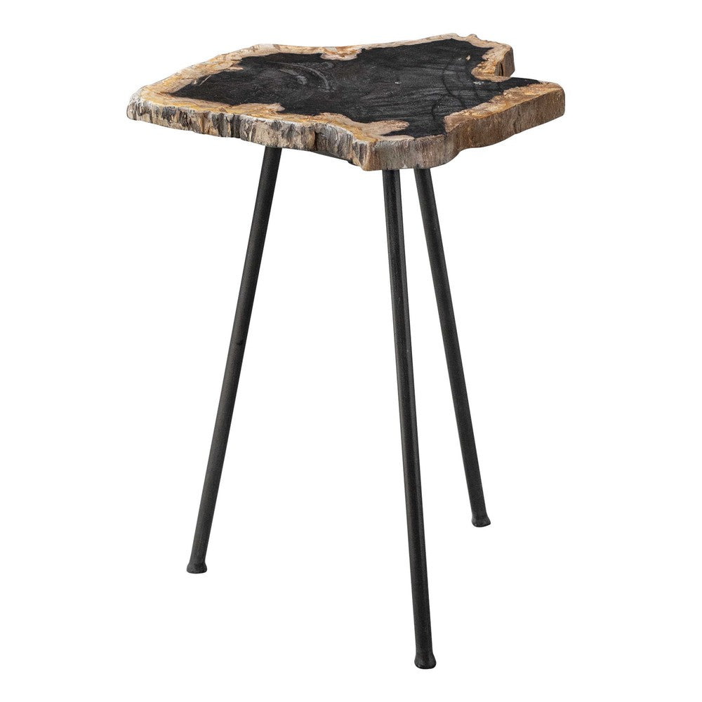 Enhance any room with the Mircea Accent Table. Natural petrified wood with unique graining details is handcrafted to create a one-of-a-kind piece, paired with aged black finished iron legs for a distinctive look. Variations in color, ranging from black to natural, and size, from 10 to 17" diameter, make this accent table a perfect fit for any room.