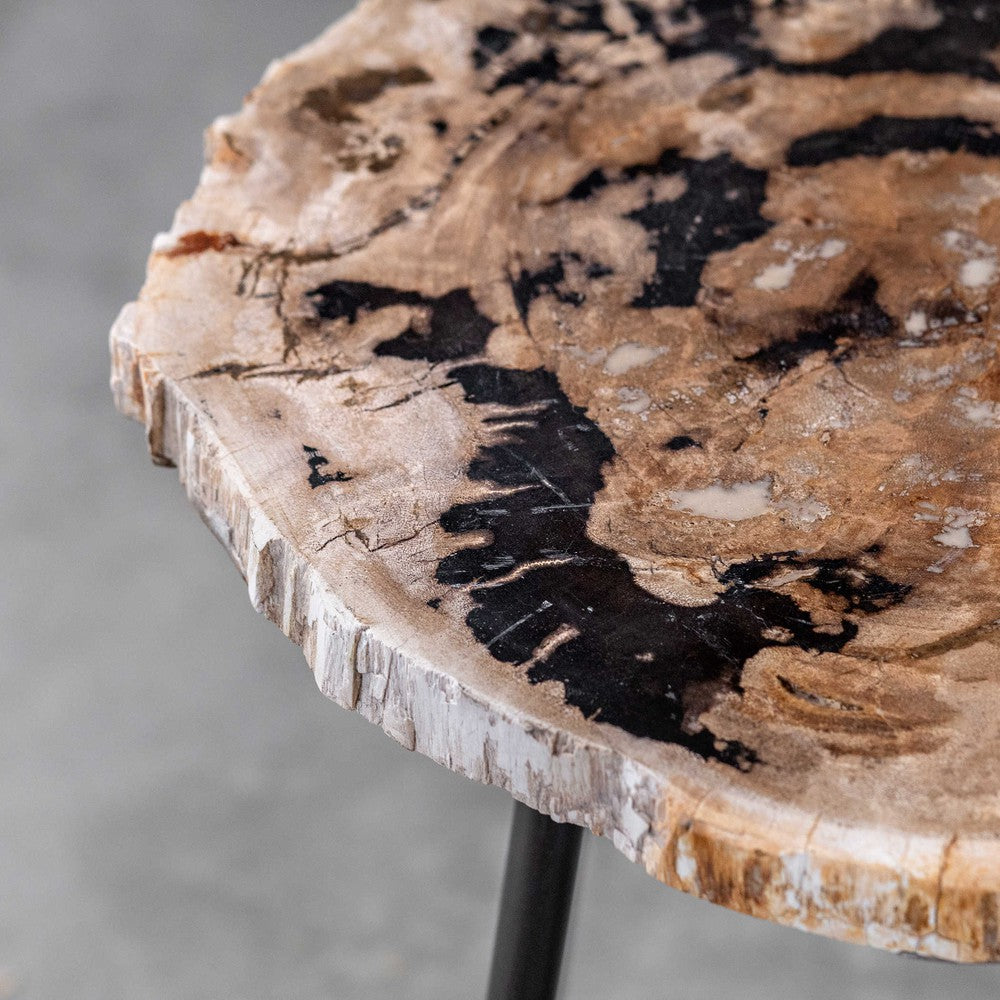 Enhance any room with the Mircea Accent Table. Natural petrified wood with unique graining details is handcrafted to create a one-of-a-kind piece, paired with aged black finished iron legs for a distinctive look. Variations in color, ranging from black to natural, and size, from 10 to 17" diameter, make this accent table a perfect fit for any room.