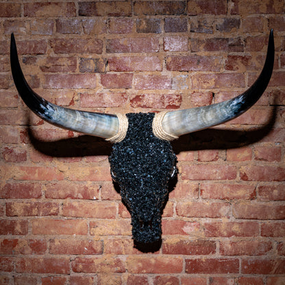 Black crushed glass longhorn skull with natural rope and curved horns mounted on brick wall