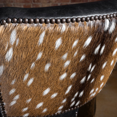Close-up of axis hide hair-on panel with nailhead trim on back of black leather Western bar stool
