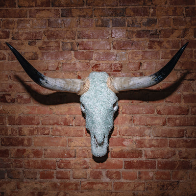 Frosted glass longhorn skull with natural curved horns and rope wrap mounted on brick wall