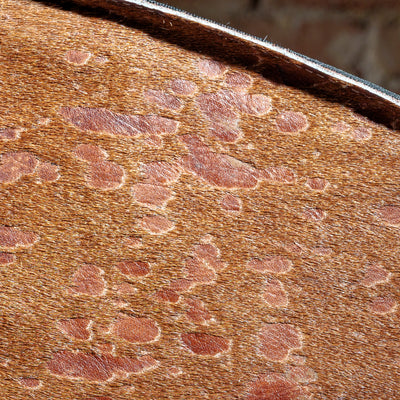 Close-up of genuine hair-on-hide leather with golden speckled texture