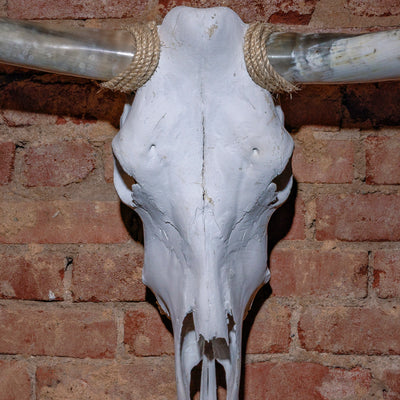 Close-up of horn gradient and matte white skull with jute wrap on rustic Western décor