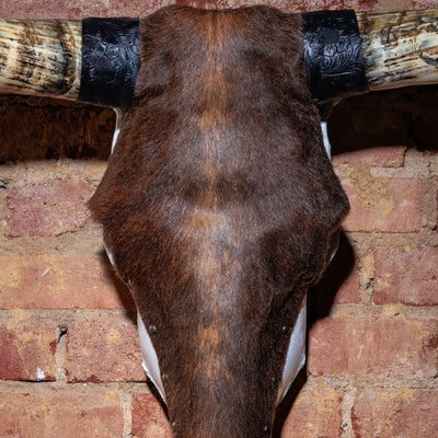 Close-up of cowhide texture and tooled leather on longhorn skull décor