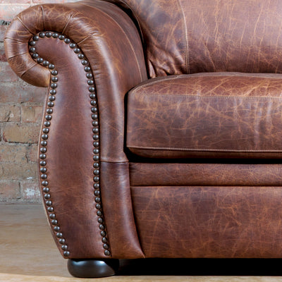 Western Bison Leather Fincher Sofa