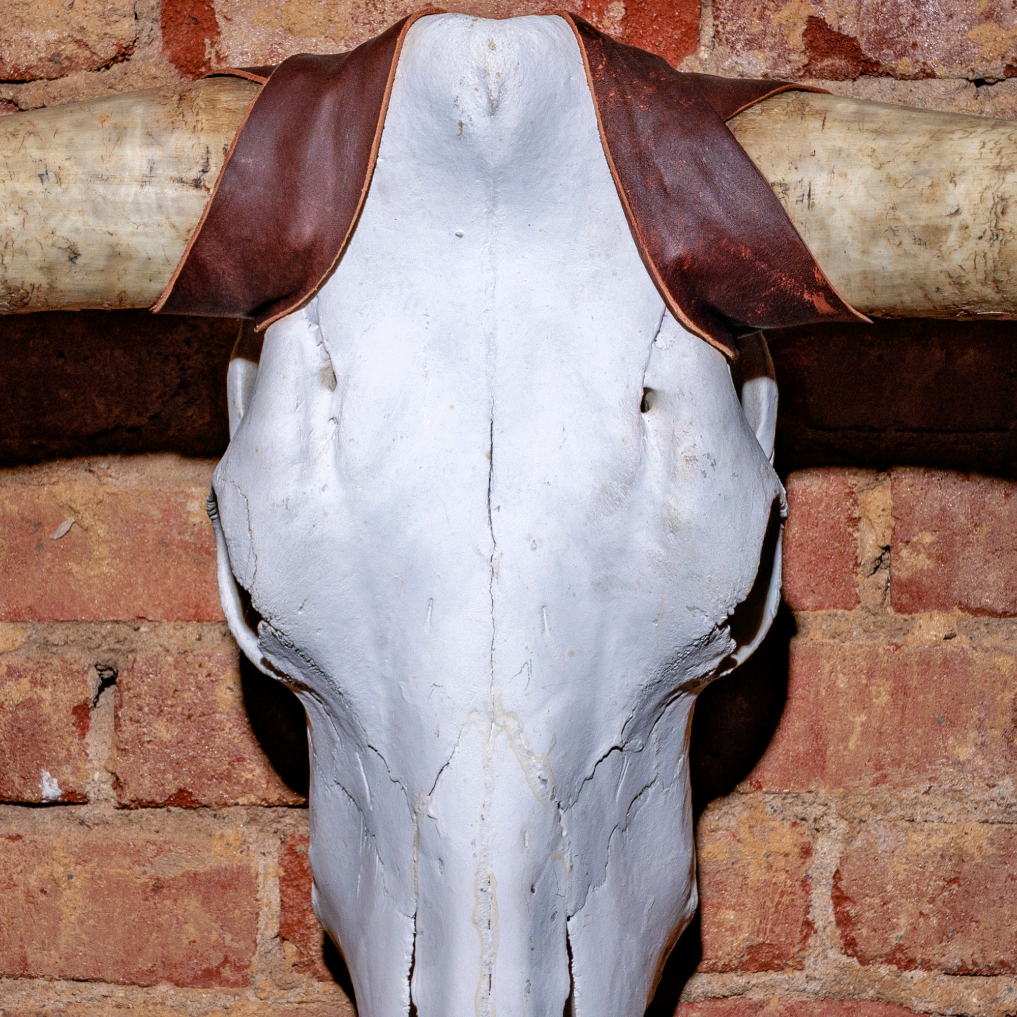 Close-up of hand-stitched brown leather yoke on longhorn skull wall decor