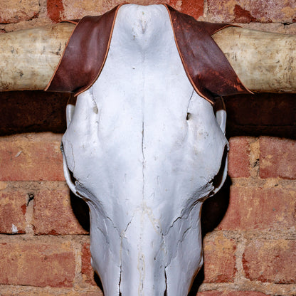 Close-up of hand-stitched brown leather yoke on longhorn skull wall decor