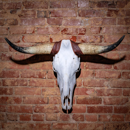 Wall-mounted longhorn skull with stitched leather accent and natural horns on brick wall