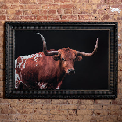 Framed longhorn wall art with dramatic black background and ornate dark frame.