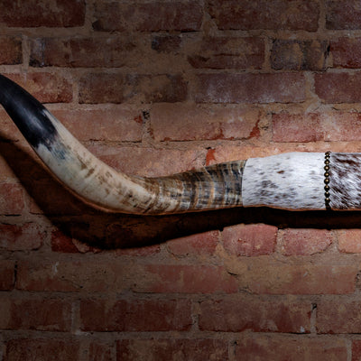 Close-up of horn mount showing black-tipped horns and antique nailhead cowhide wrap