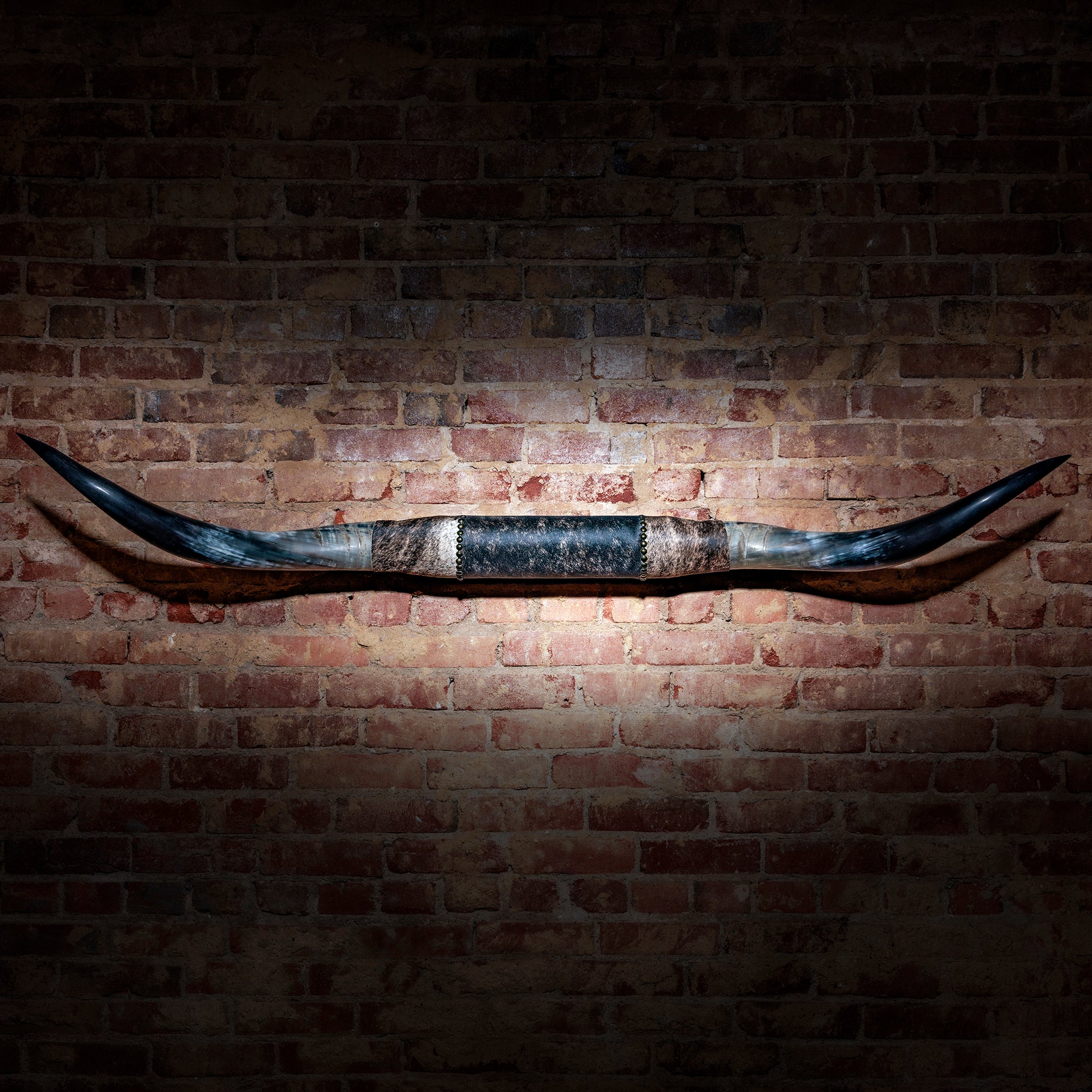 Mounted Longhorn Horns