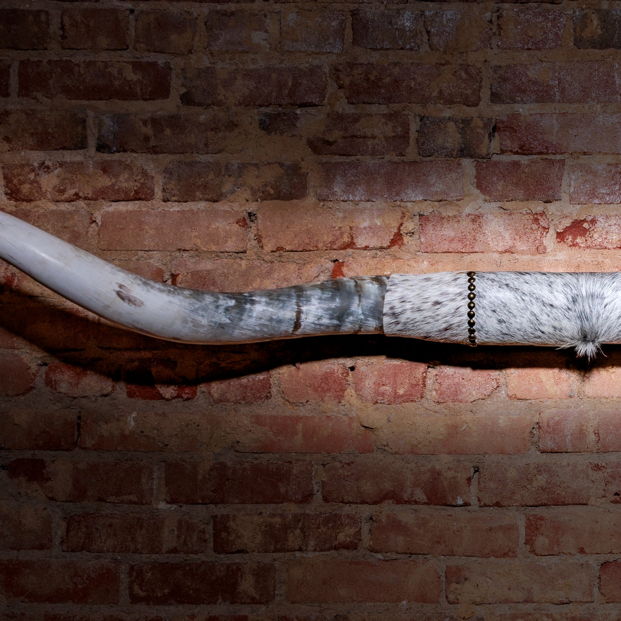 Close-up of longhorn mount showing cowhide texture and antique nailhead detail