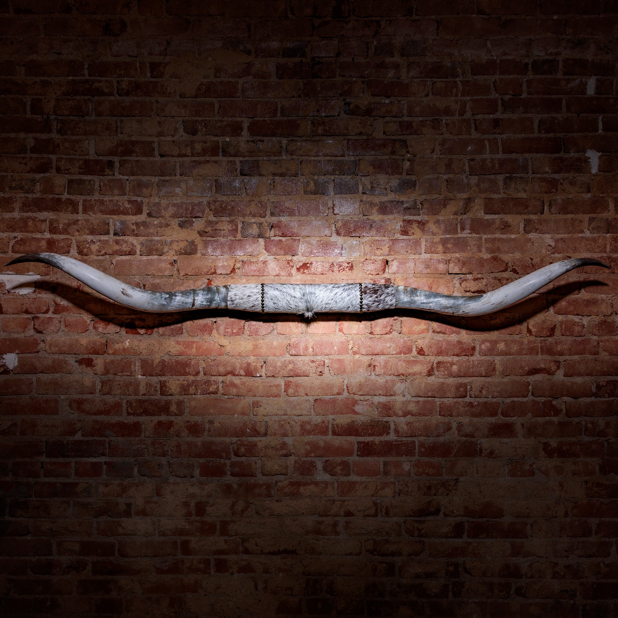 Mounted longhorn horns with grey and white cowhide wrap on red brick wall