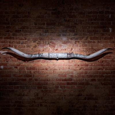 Mounted Longhorn Horns