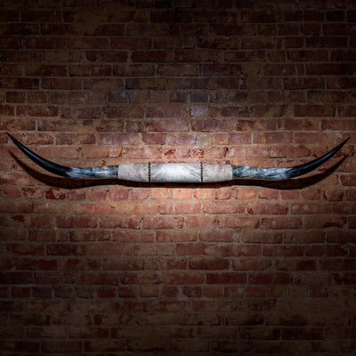 Mounted Longhorn Horns