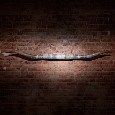 Mounted Longhorn Horns