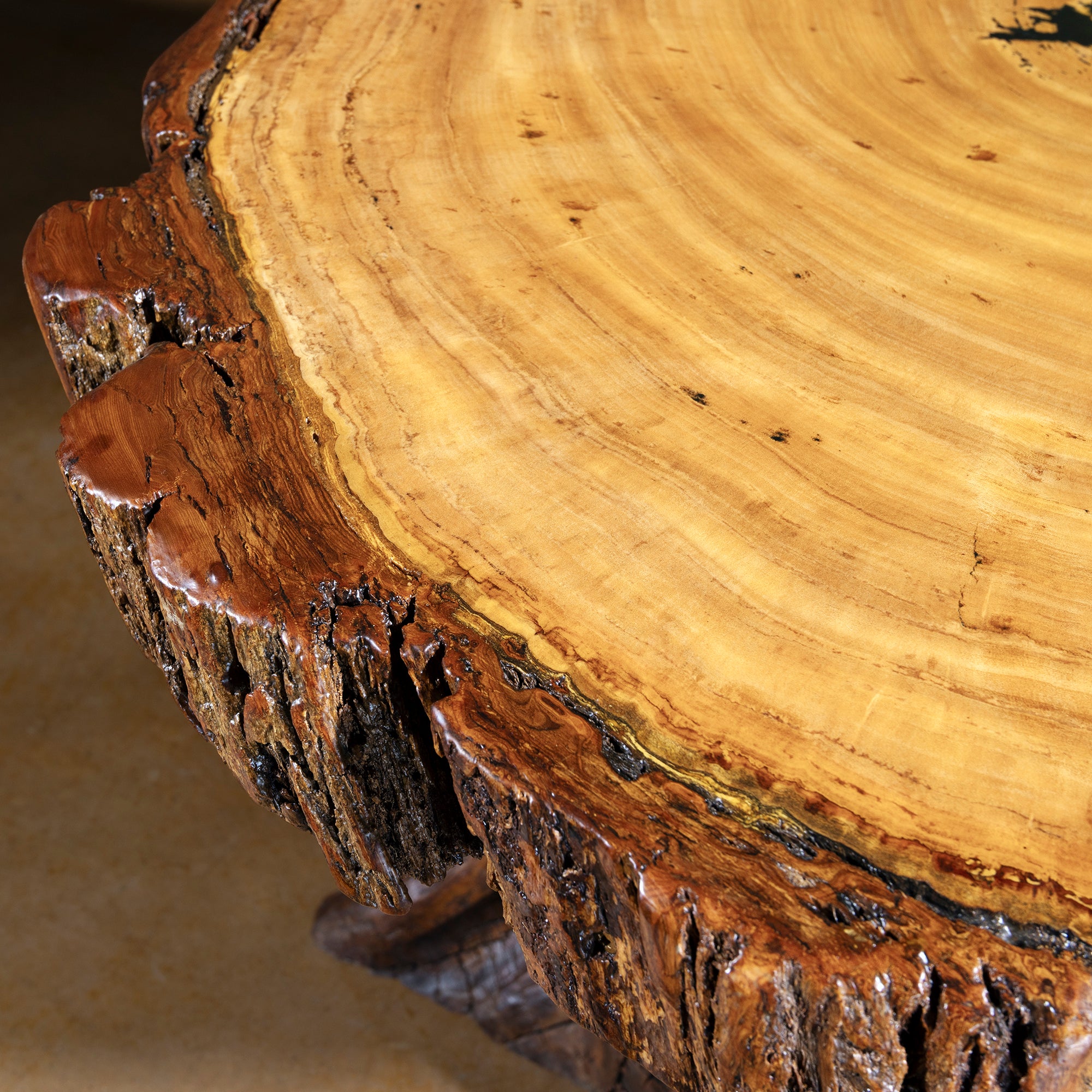Close-up of live-edge slab top showing rings and grain on Sundermill Rootstone Table