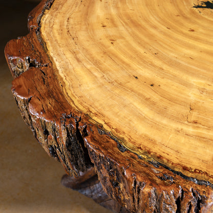 Close-up of live-edge slab top showing rings and grain on Sundermill Rootstone Table