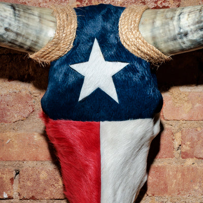 Close-up of Texas flag cowhide pattern on patriotic longhorn skull wall art