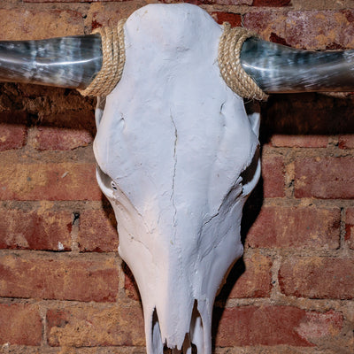 Close-up of matte skull texture and horn rope accent on longhorn skull wall décor