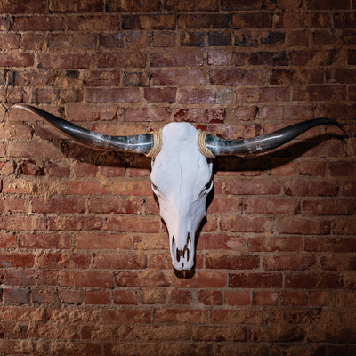 Wall-mounted wide-horn longhorn skull with matte white finish and jute rope detail on brick wall